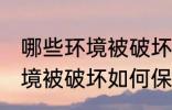 哪些环境被破坏怎样保护环境 哪些环境被破坏如何保护环境