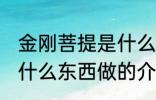 金刚菩提是什么东西做的 金刚菩提是什么东西做的介绍