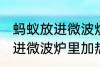 蚂蚁放进微波炉里加热会死吗 蚂蚁放进微波炉里加热会不会死