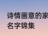 诗情画意的家族名字 诗情画意的家族名字锦集