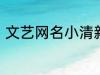 文艺网名小清新2个字 简短文艺昵称