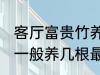 客厅富贵竹养几支最旺运 水养富贵竹一般养几根最旺财