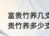 富贵竹养几支最旺运办公室 办公室富贵竹养多少支最旺运