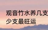 观音竹水养几支最旺运 观音竹水养多少支最旺运