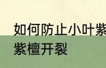 如何防止小叶紫檀开裂 怎样防止小叶紫檀开裂