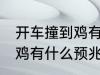 开车撞到鸡有什么兆头 男人开车撞到鸡有什么预兆