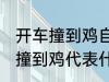 开车撞到鸡自己也摔有什么兆头 开车撞到鸡代表什么意思