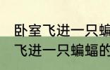 卧室飞进一只蝙蝠有什么兆头吗 卧室飞进一只蝙蝠的兆头