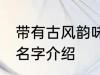 带有古风韵味的名字 带有古风韵味的名字介绍