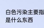 白色污染主要指的是什么 白色污染的是什么东西