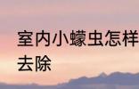 室内小蠓虫怎样去除 室内小蠓虫如何去除