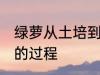 绿萝从土培到水培 绿萝从土培到水培的过程