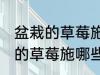 盆栽的草莓施什么肥好不要化肥 盆栽的草莓施哪些肥好不要化肥