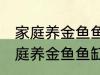 家庭养金鱼鱼缸里放什么水草好呢 家庭养金鱼鱼缸里放哪种水草好呢