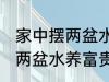 家中摆两盆水养富贵竹好不好 家中摆两盆水养富贵竹可以吗