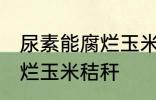 尿素能腐烂玉米秸秆吗 尿素能不能腐烂玉米秸秆