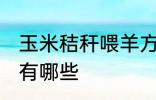 玉米秸秆喂羊方法 玉米秸秆喂羊方法有哪些