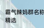 霸气辣妈群名称大全 霸气辣妈群名称精选