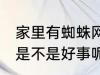 家里有蜘蛛网好事坏事 家里有蜘蛛网是不是好事呢