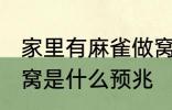 家里有麻雀做窝好不好 家里有麻雀做窝是什么预兆