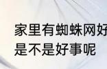 家里有蜘蛛网好事坏事 家里有蜘蛛网是不是好事呢