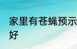 家里有苍蝇预示什么 家里有苍蝇好不好