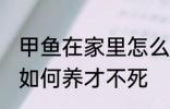 甲鱼在家里怎么养才不死 甲鱼在家里如何养才不死