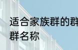 适合家族群的群名称 有哪些家族群的群名称