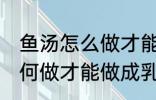 鱼汤怎么做才能做成乳白色的 鱼汤如何做才能做成乳白色的