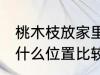 桃木枝放家里什么位置 桃木枝放家里什么位置比较好