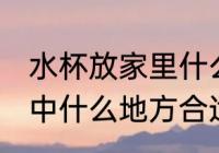 水杯放家里什么地方招财 水杯放在家中什么地方合适